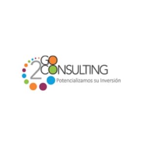 GO2 CONSULTING