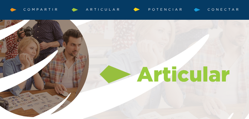 Articular